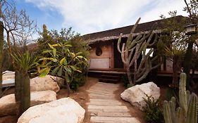 Hotel El Perdido Desert Dream